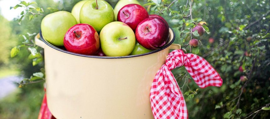 Benefits of apples. Helps with constipation, diarrhoea… And much, much more